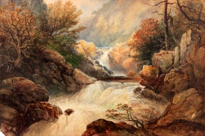 The Falls of Lochy by Thomas Miles Richardson